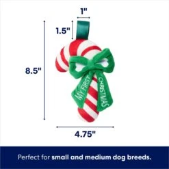 Frisco Holiday My First Christmas Candy Cane Plush Squeaky Puppy Toy -Pet Products Shop 739942 PT1. AC SS1800 V1695043437
