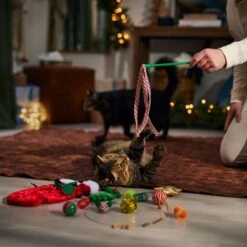 Frisco Holiday Cozy Christmas Sack Variety Pack Cat Toy With Catnip 10 Frisco Holiday Cozy Christmas Sack Variety Pack Cat Toy With Catnip -Pet Products Shop 740054 PT3. AC SS1800 V1694812461