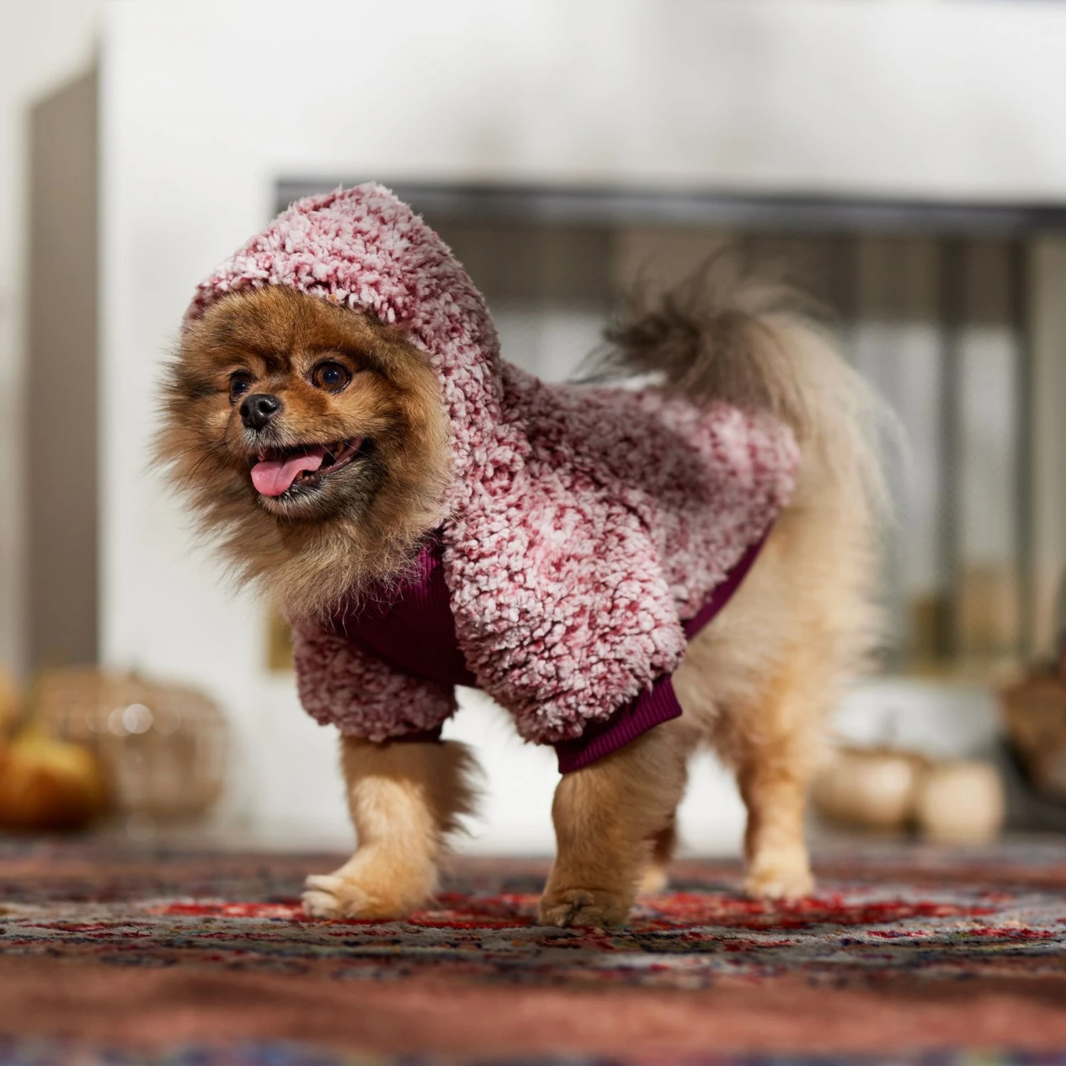 Frisco Textured Wubby 2-Tone Fleece Dog & Cat Hoodie 10 Frisco Textured Wubby 2-Tone Fleece Dog & Cat Hoodie - Image 8