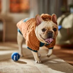 Frisco Wubby Textured Fleece Dog & Cat Hoodie W/ Pocket 18 Frisco Wubby Textured Fleece Dog & Cat Hoodie W/ Pocket -Pet Products Shop 742510 PT7. AC SS1800 V1692377765