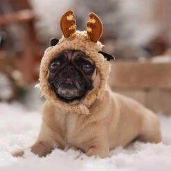 Frisco Sherpa Reindeer Dog & Cat Hat With Bells 14 Frisco Sherpa Reindeer Dog & Cat Hat With Bells -Pet Products Shop 745646 PT5. AC SS1800 V1694795597