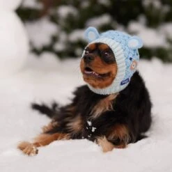 Frisco Nordic Ears Sweater Knit Dog & Cat Hat 14 Frisco Nordic Ears Sweater Knit Dog & Cat Hat -Pet Products Shop 745710 PT5. AC SS1800 V1695671059