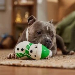 Frisco Holiday Snowman Latex Squeaky Dog Toy -Pet Products Shop 773870 PT3. AC SS1800 V1695044328