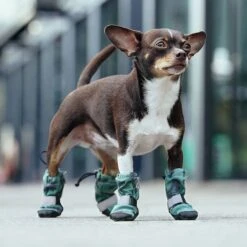 Canada Pooch Soft Shield Dog Boots -Pet Products Shop 803006 PT4. AC SS1800 V1682088022