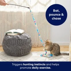 Frisco Fabric Teaser Wand Cat Toy & Frisco Bird With Feathers Teaser Wand Cat Toy With Catnip 14 Frisco Fabric Teaser Wand Cat Toy & Frisco Bird With Feathers Teaser Wand Cat Toy With Catnip -Pet Products Shop 962094 PT3. AC SS1800 V1694782977