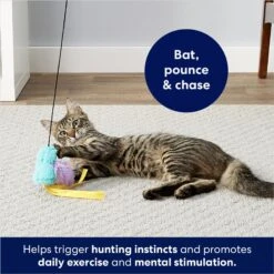 Frisco Fabric Teaser Wand Cat Toy & Frisco Bird With Feathers Teaser Wand Cat Toy With Catnip 19 Frisco Fabric Teaser Wand Cat Toy & Frisco Bird With Feathers Teaser Wand Cat Toy With Catnip -Pet Products Shop 962094 PT8. AC SS1800 V1694782976