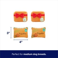 Frisco Holiday Hot Cocoa Hide & Seek Puzzle Plush Squeaky Dog Toy & Frisco Holiday North Pole Mailbox Hide & Seek Puzzle Plush Squeaky Dog Toy -Pet Products Shop 986166 PT7. AC SS1800 V1698258463