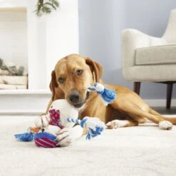 Frisco Holiday Snowman Plush With Rope Squeaky Dog Toy & Frisco Holiday Reindeer Plush With Rope Squeaky Dog Toy 15 Frisco Holiday Snowman Plush With Rope Squeaky Dog Toy & Frisco Holiday Reindeer Plush With Rope Squeaky Dog Toy -Pet Products Shop 986174 PT4. AC SS1800 V1698258345