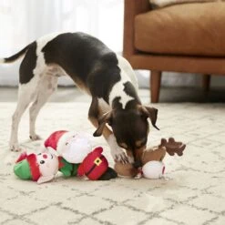 Frisco Holiday Santa's Helpers Plush Squeaky Dog Toy, 3 Count & Frisco Holiday Lights Plush With Rope Squeaky Dog Toy 13 Frisco Holiday Santa's Helpers Plush Squeaky Dog Toy, 3 Count & Frisco Holiday Lights Plush With Rope Squeaky Dog Toy -Pet Products Shop 986206 PT4. AC SS1800 V1698257788