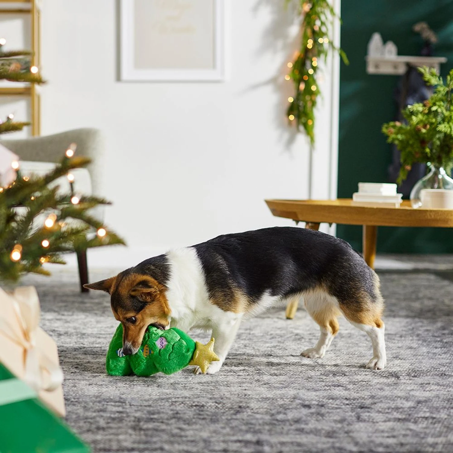 Frisco Holiday Santa's Helpers Plush Squeaky Dog Toy, 3 Count & Frisco Holiday Tree Thin Plush Squeaky Dog Toy 5 Frisco Holiday Santa's Helpers Plush Squeaky Dog Toy, 3 Count & Frisco Holiday Tree Thin Plush Squeaky Dog Toy - Image 3