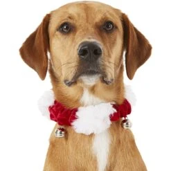 Frisco Holiday Dog & Cat Santa Hat, 1 Count & Frisco Jingle Bells Dog & Cat Holiday Collar With Bells, 1 Count -Pet Products Shop 986254 PT7. AC SS1800 V1698258115