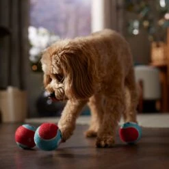 Frisco Holiday Ho Ho Ho Fetch Squeaky Tennis Ball Dog Toy & Frisco Holiday Arctic Friends Stuffing-Free Skinny Plush Squeaky Dog Toy -Pet Products Shop 986310 PT4. AC SS1800 V1698257790